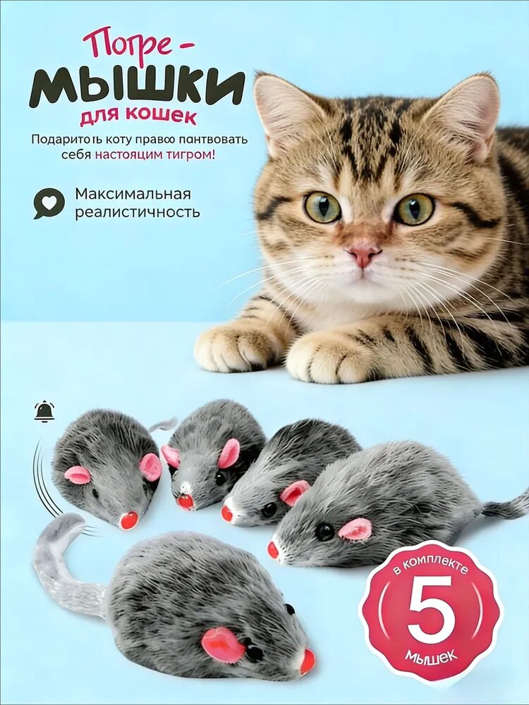 Симулятор серой крысы / костюм 5 шт.