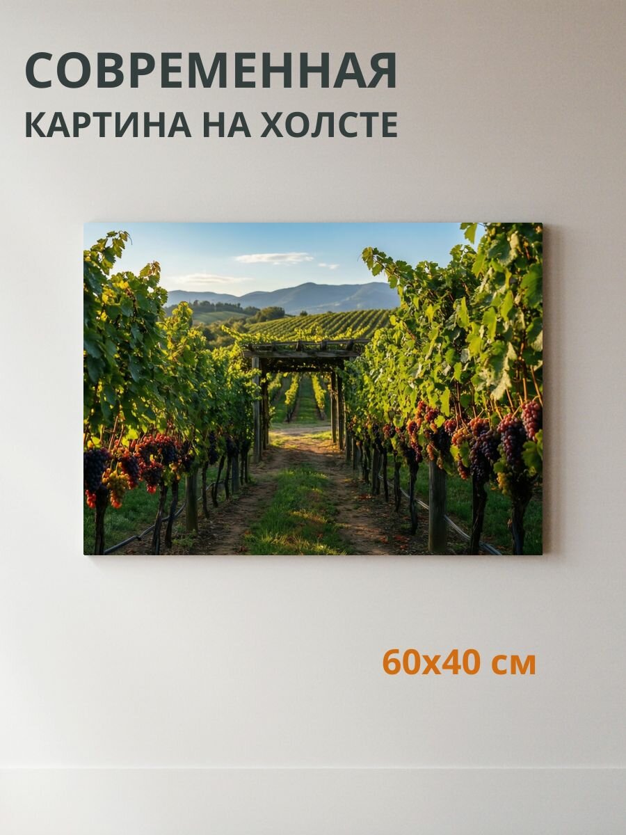 Картина на холсте Виноград 60x40 см