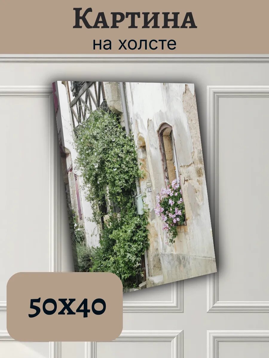 Картина Постер Франция France 40x50 цветущий фасад