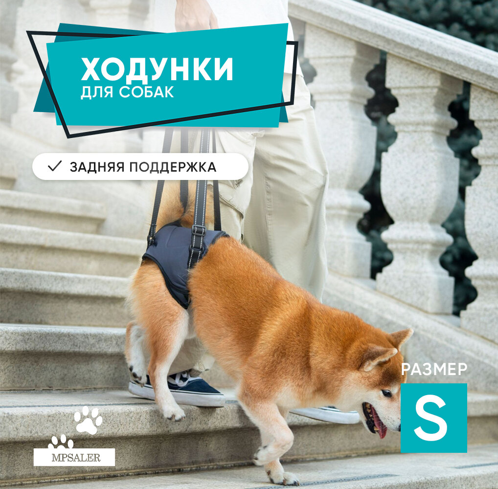 Задняя поддержка для собак. Ходунки для собак S.