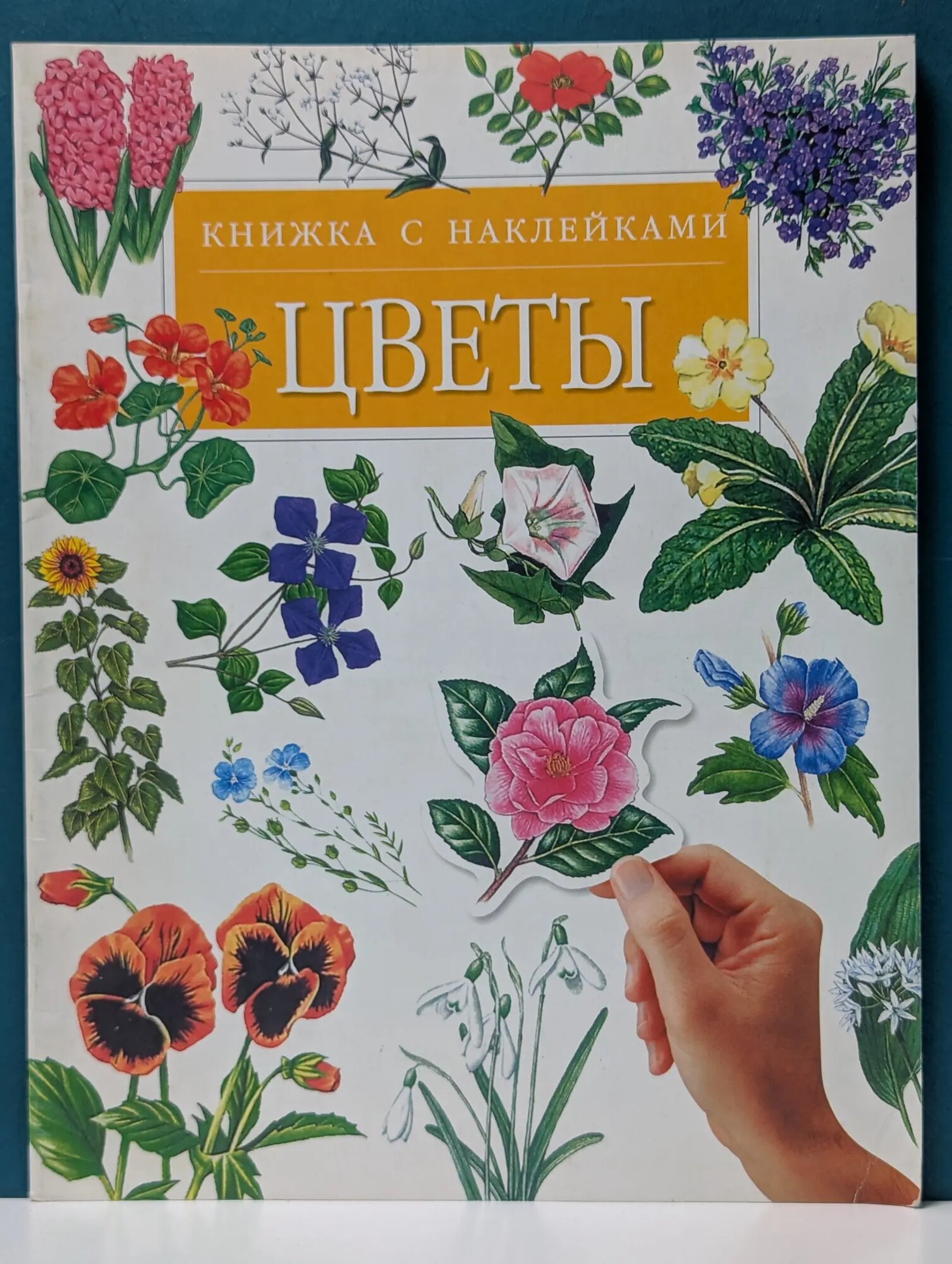 Цветы Майлз Лайза 2002
