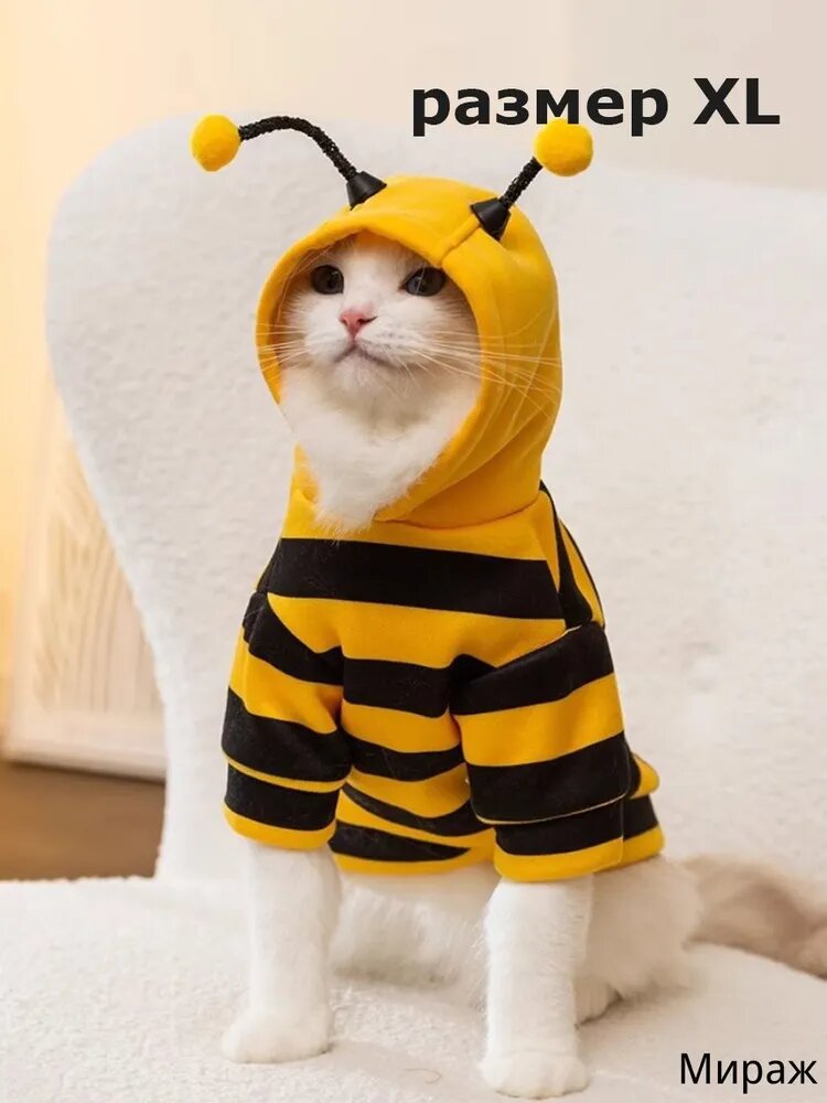 Пчелий наряд, Смешная одежда для собак и кошек, COSPLAY, Хэллоуин