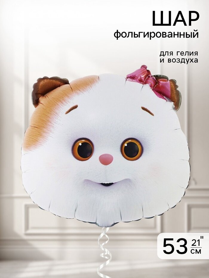 Воздушный шар фольгированный 21 Кошечка Ли-Ли, 2 шт.