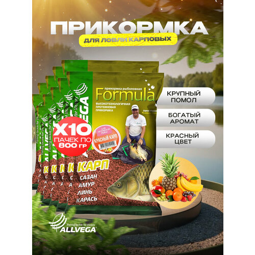 Прикормка для рыбалки ALLVEGA Formula красный карп 10 пачек по 0.9 кг
