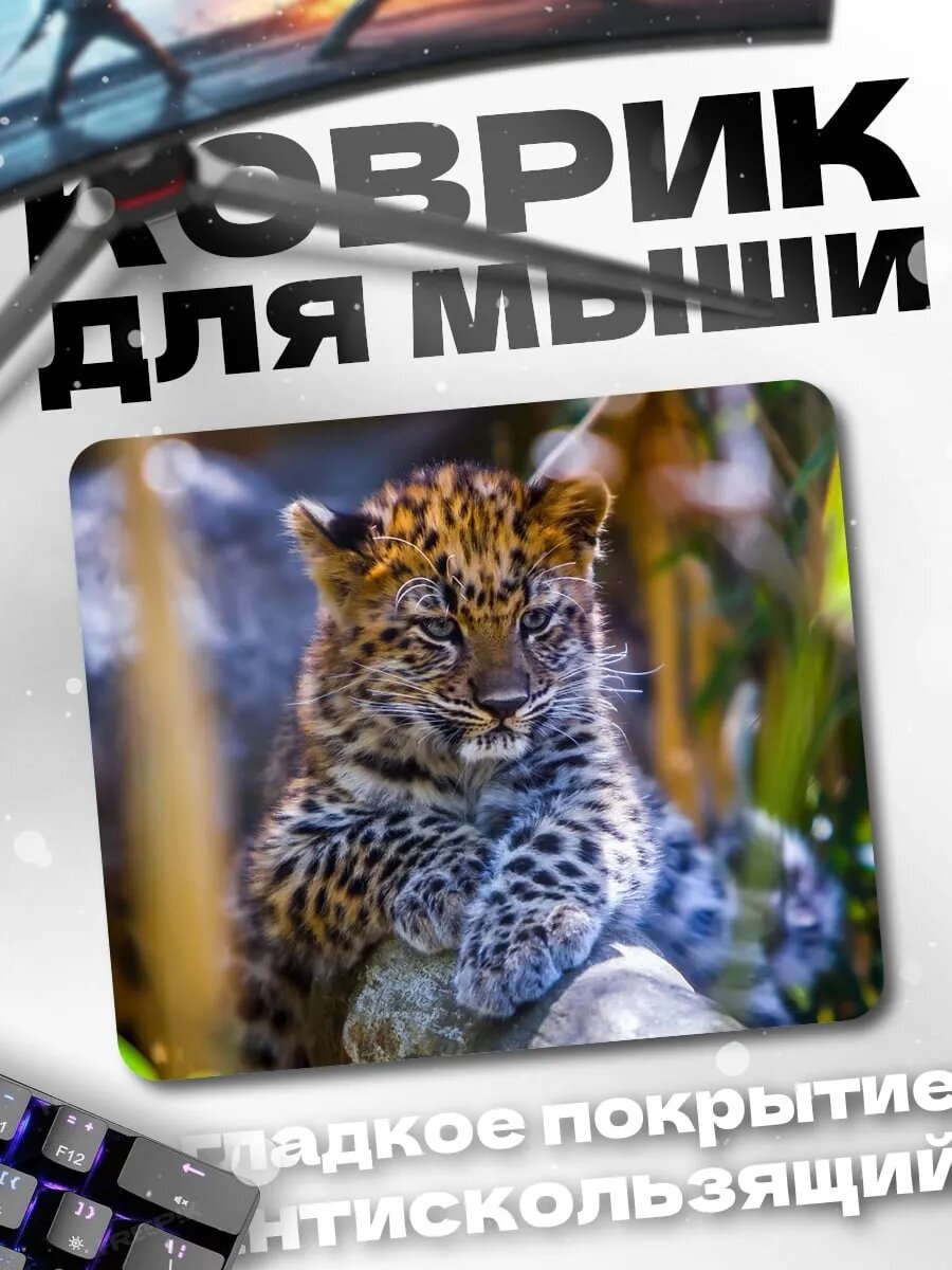 Коврик для мыши Леопардовый детеныш