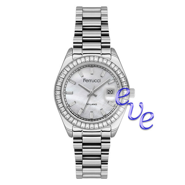 Наручные часы Ferrucci 3696-01