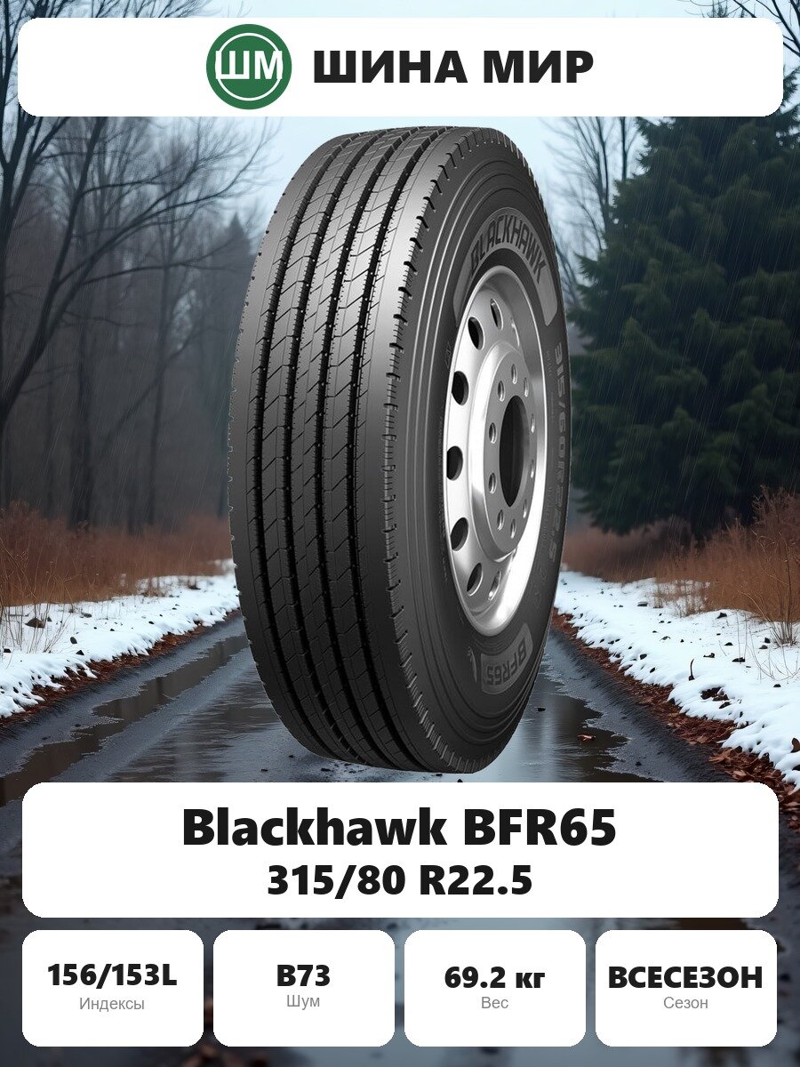 Грузовая шина Blackhawk (Sailun Group Co, LTD) BFR65 315/80 R22.5 156/153L Всесезонная Нешипованная