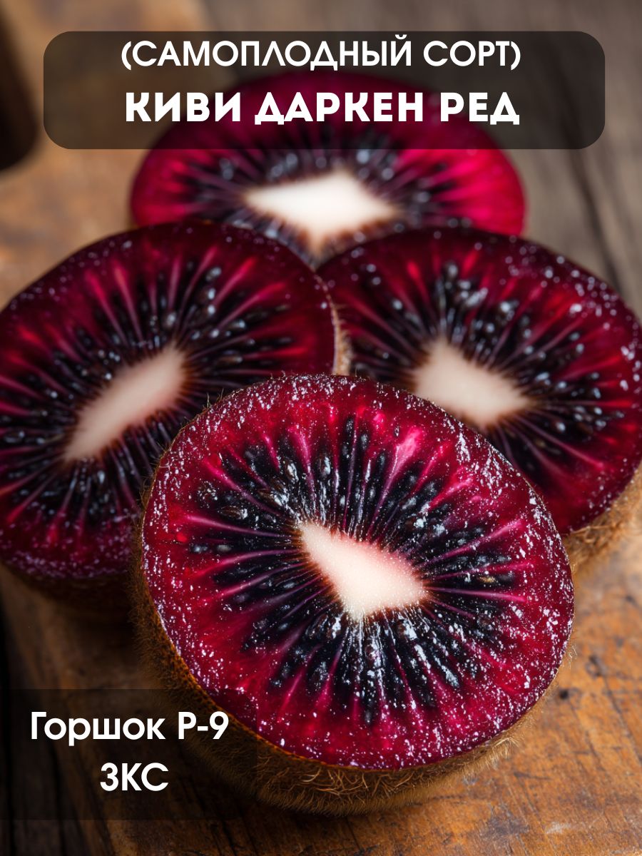 Киви Даркен Ред (самоплодное растение)