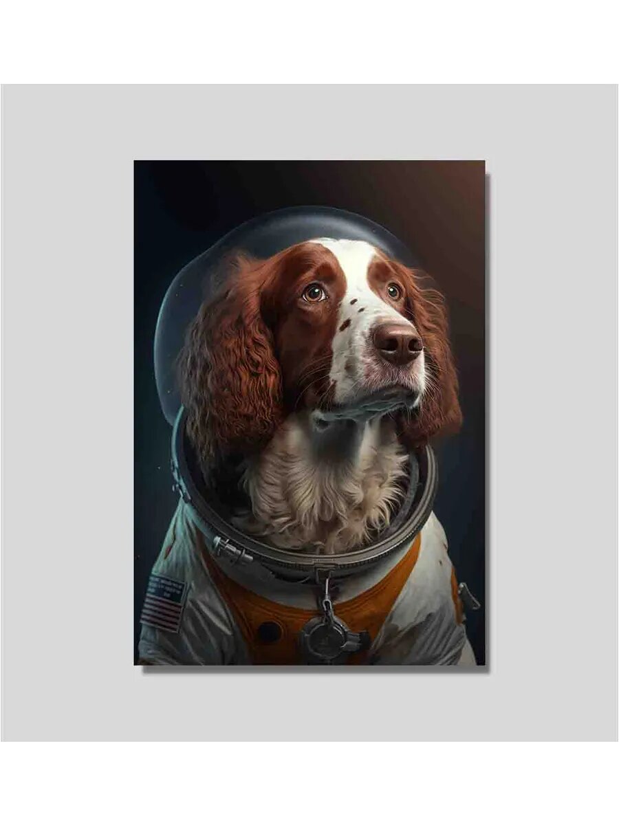 Ирландская собака-сеттер-космонавт 2, Плакат 30x42см
