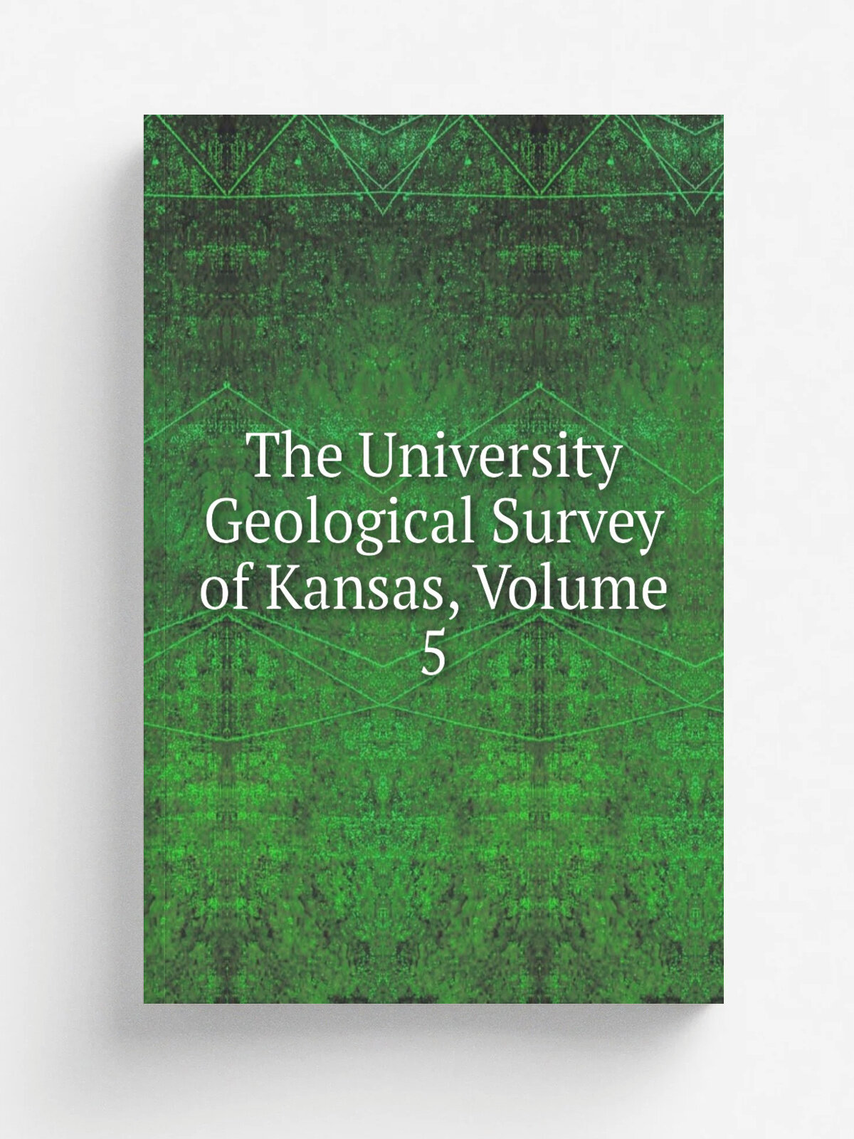 The University Geological Survey of Kansas, Volume 5