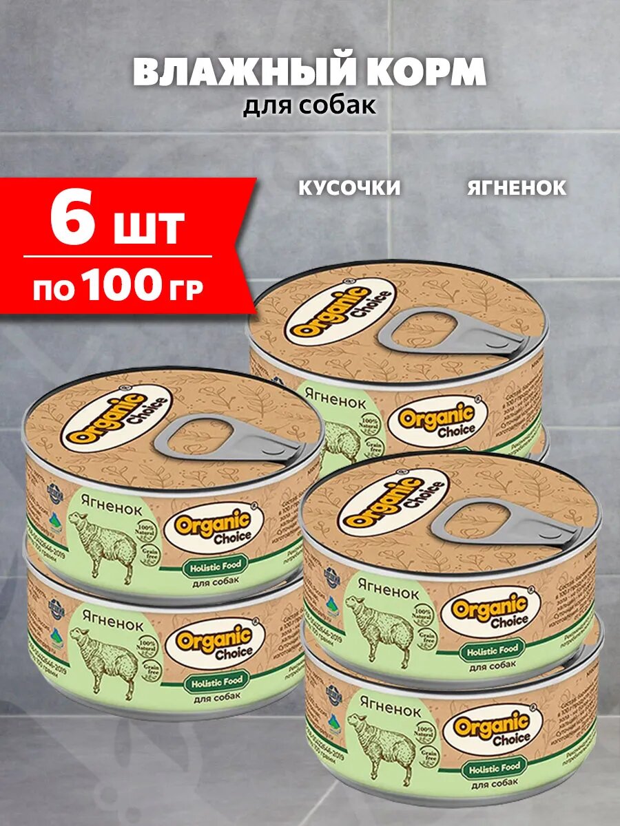 Корм влажный Organic Choice для взрослых собак, ягненок, 100 г 6 шт