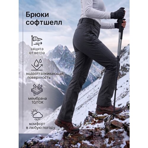 фото Брюки forcelab базовая коллекция, размер 48 (xl), темно-серый, темно-серый