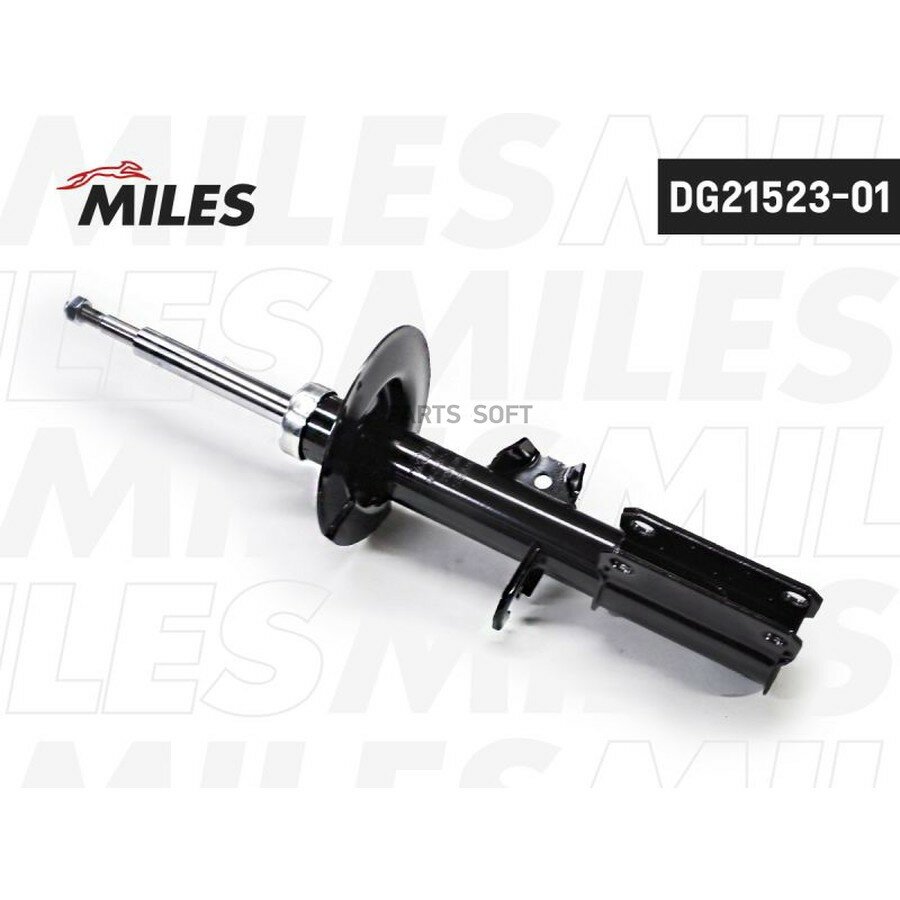 MILES DG21523-01 Амортизатор BMW X5 E53 пер. прав. газ. ()