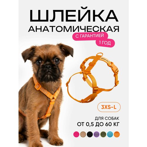 фото Шлейка для собак мелких пород и кошек анатомическая размер xxs, светоотражающая, оранежевый procomfort