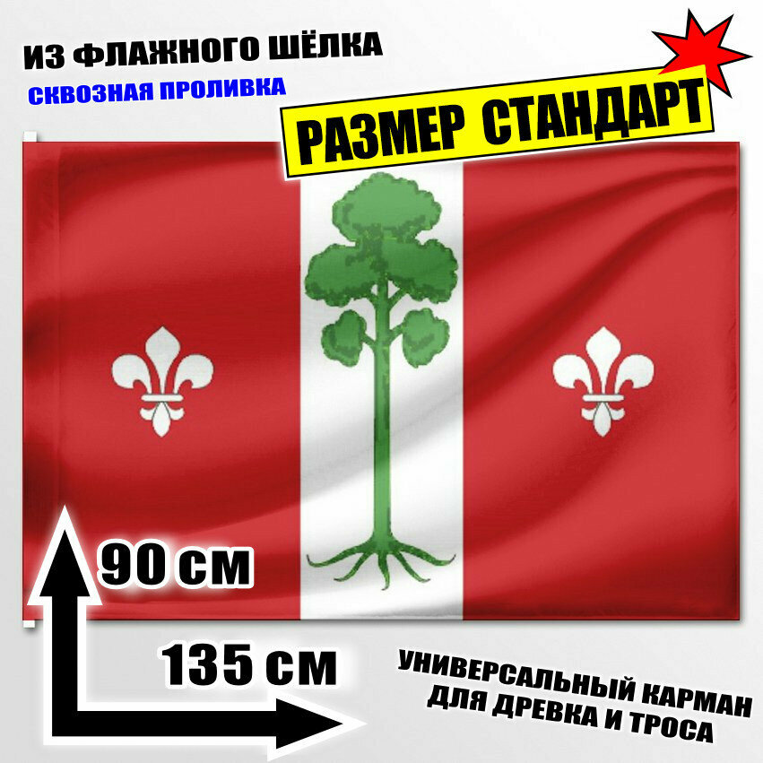 Флаг сельского поселения Барвихинское 135x90 см.