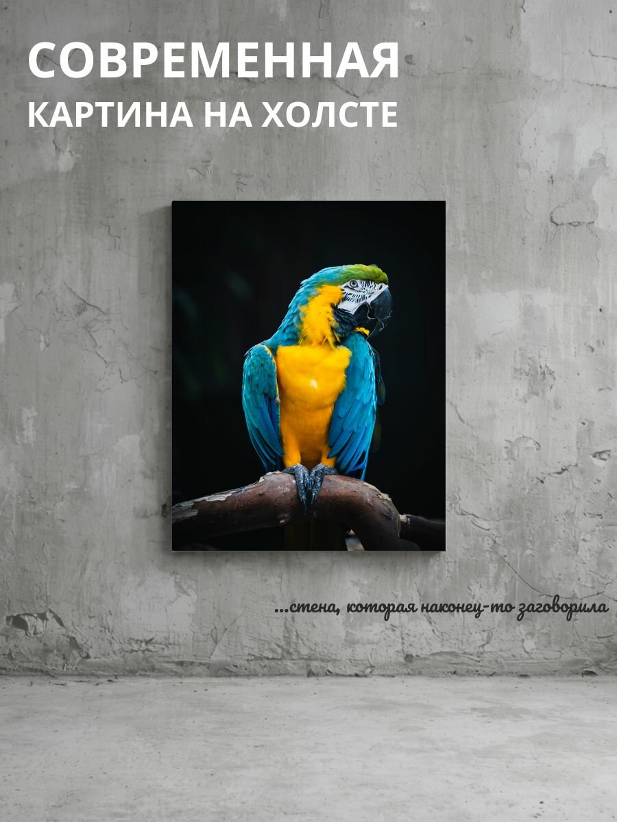Картина на холсте Попугай Макао 50x70 см