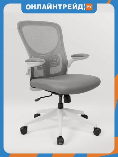 Изображение товара Кресло офисное Byroom Office Cheap grey-white