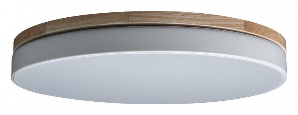 Накладной светильник Loft it Axel 10001 36 White цвет плафона подвески Белый, цвет арматуры Белый