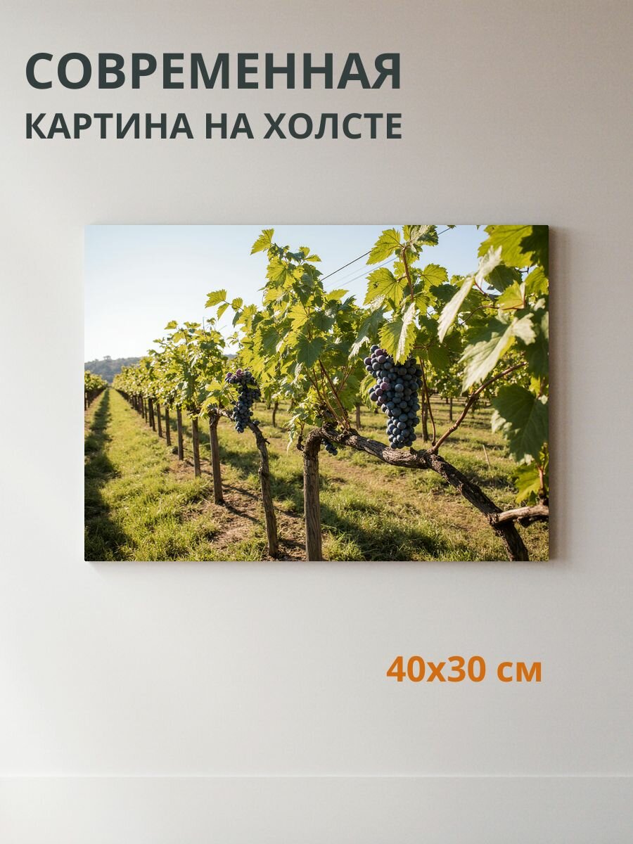 Картина на холсте Виноград 40x30 см