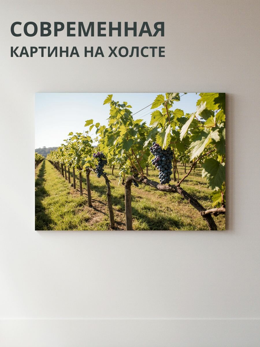 Картина на холсте Виноград 70x50 см