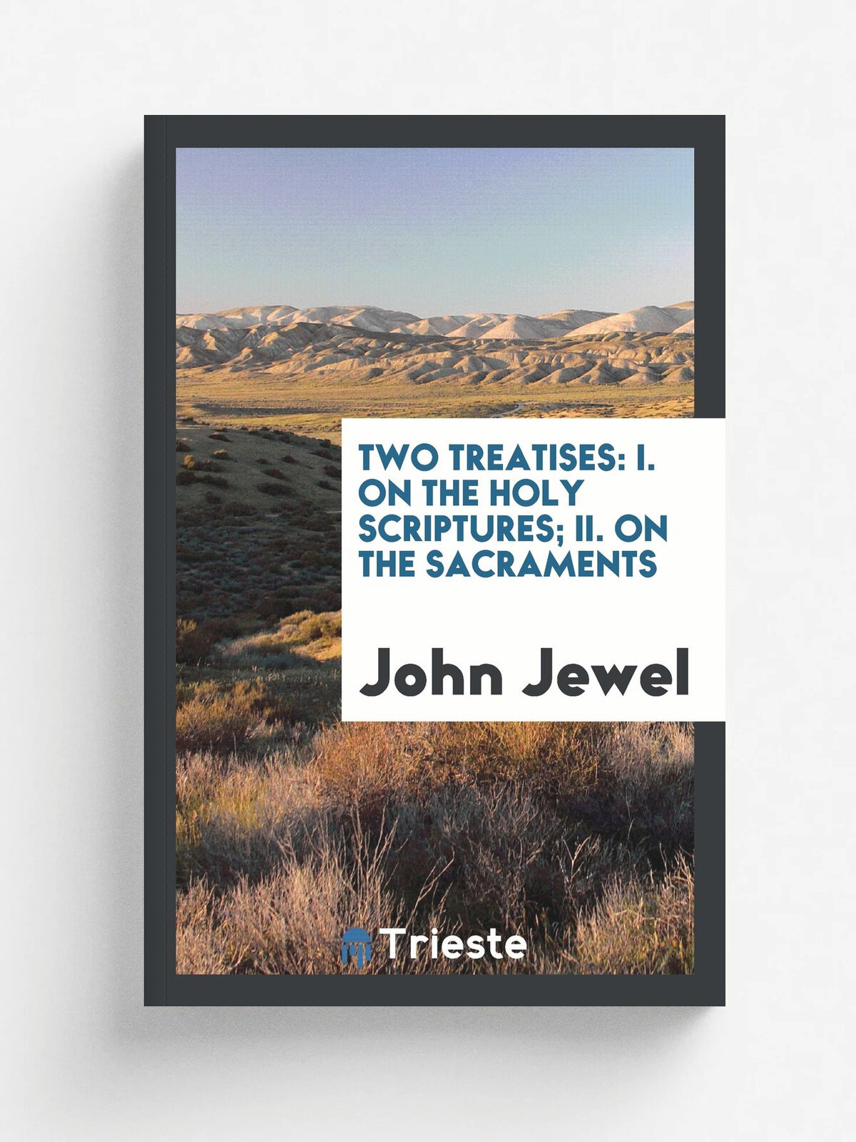 Two treatises. I. On the Holy Scriptures ; II. On the sacraments