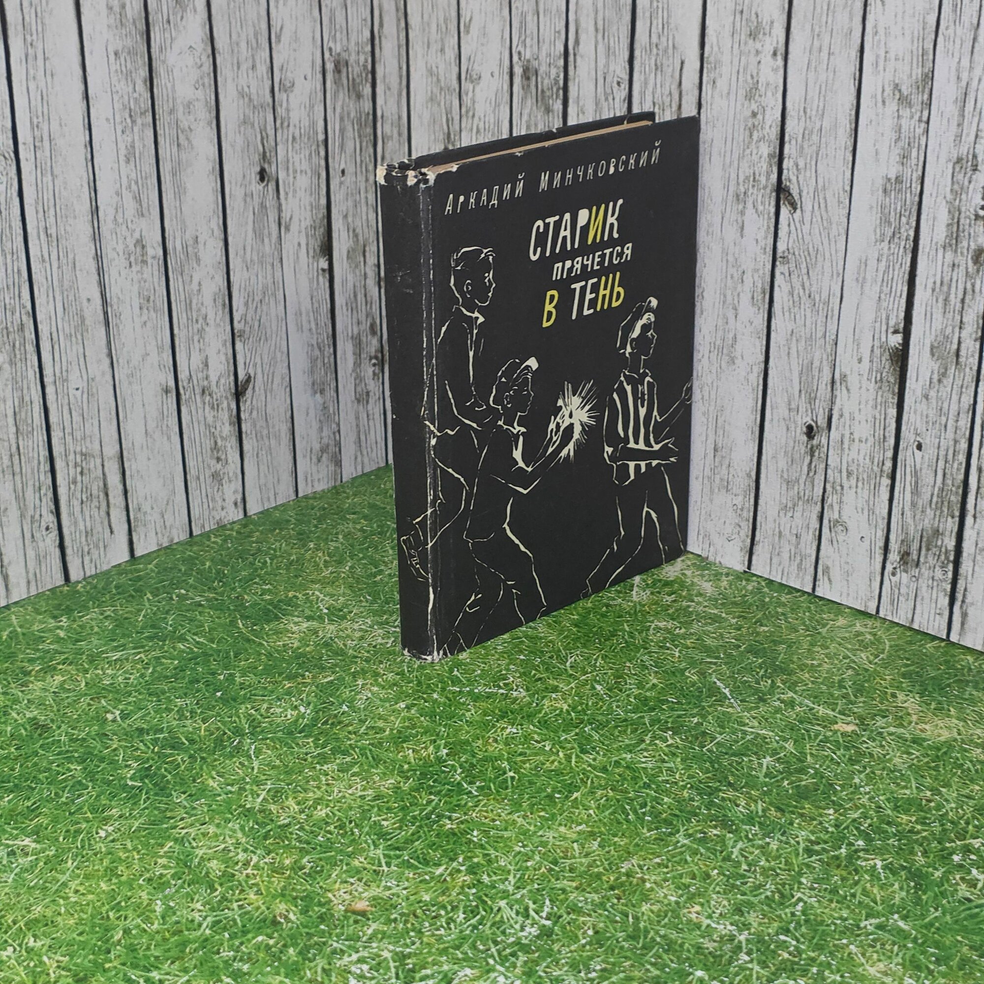 Книга " Старик прячется в тень "