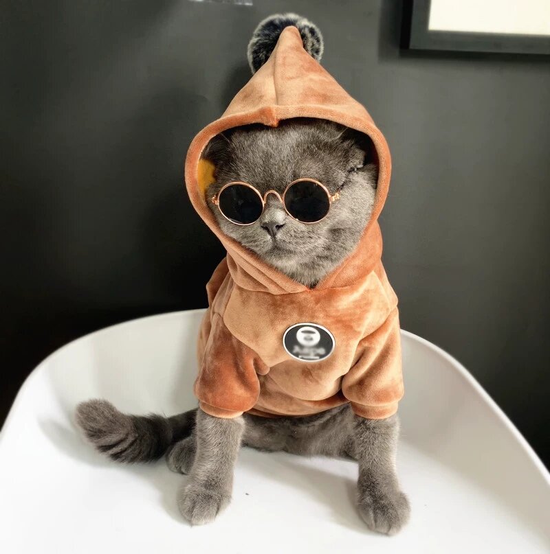 Коричневый двойной флисовый свитер для британских короткошерстных кошек, зимняя одежда, размер M