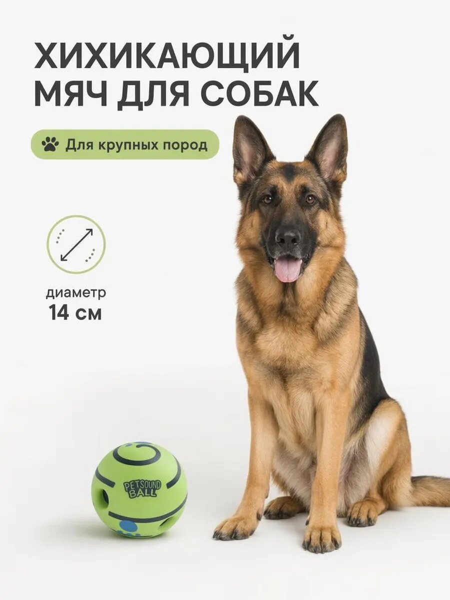 Мяч для собак, интерактивный, со звуком, пластик, 14см, для крупных и средних пород