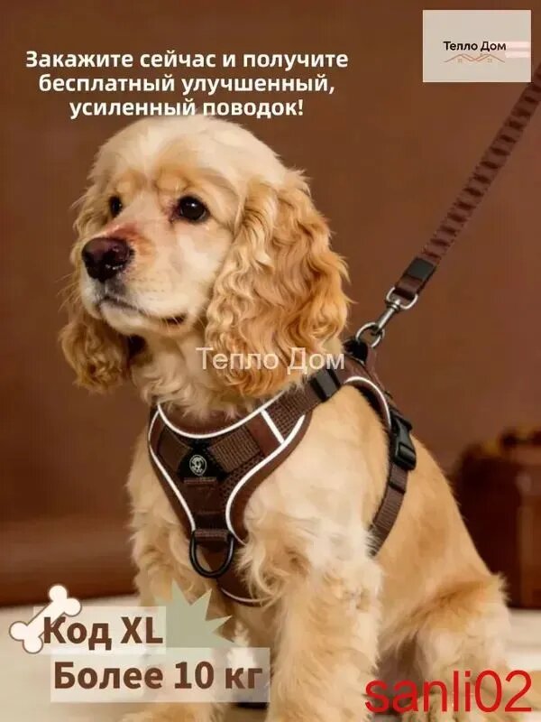 Шлейка для собак мелких и средних пород, с поводком, XL