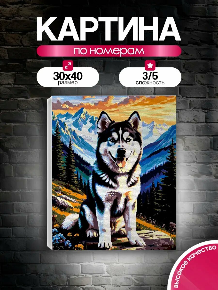 Картина по номерам 30x40 Верный хаски