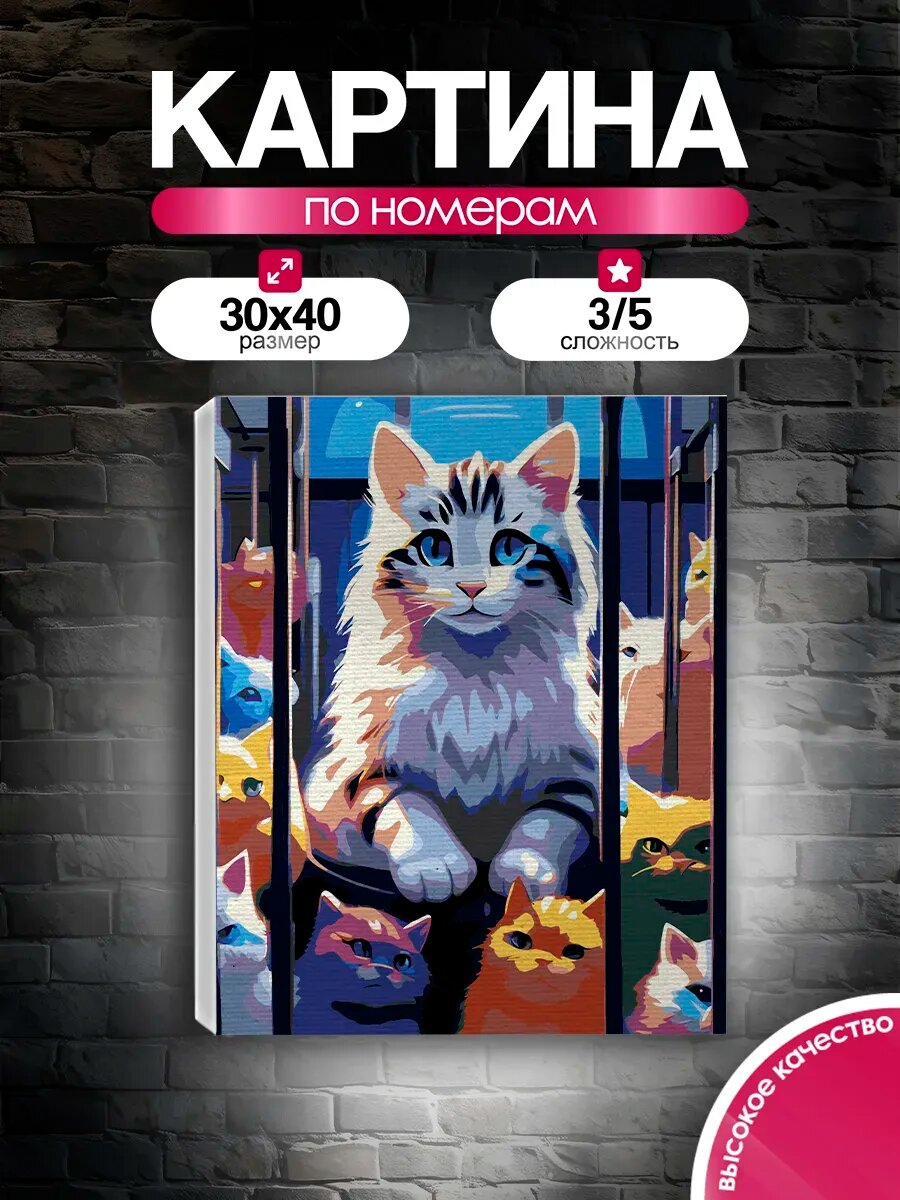 Картина по номерам 30x40 Много котиков