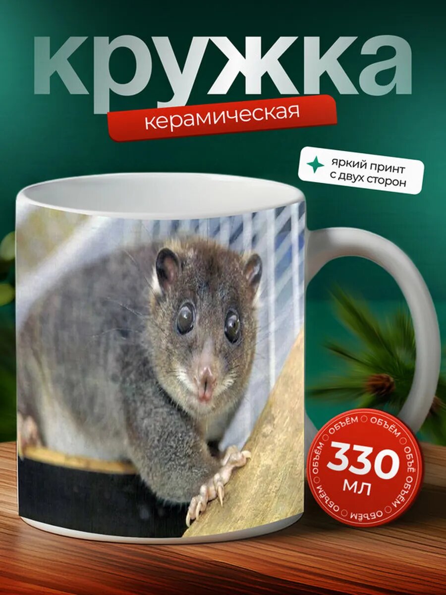 Кружка Кускус животное 10,