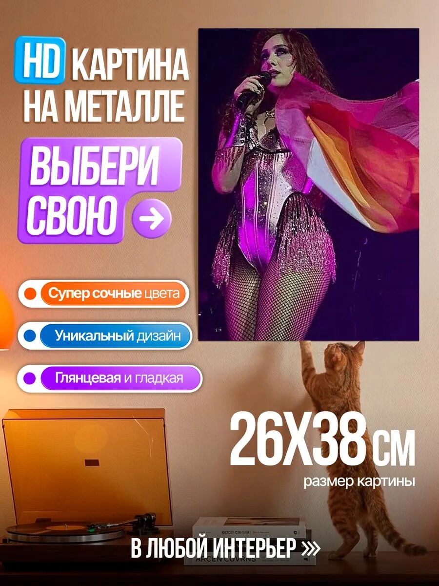 Картина на HD металле Певица с радужным флагом