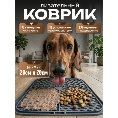 фото Лизательный коврик для собак и кошек, миска для медленного кормления 20х20см