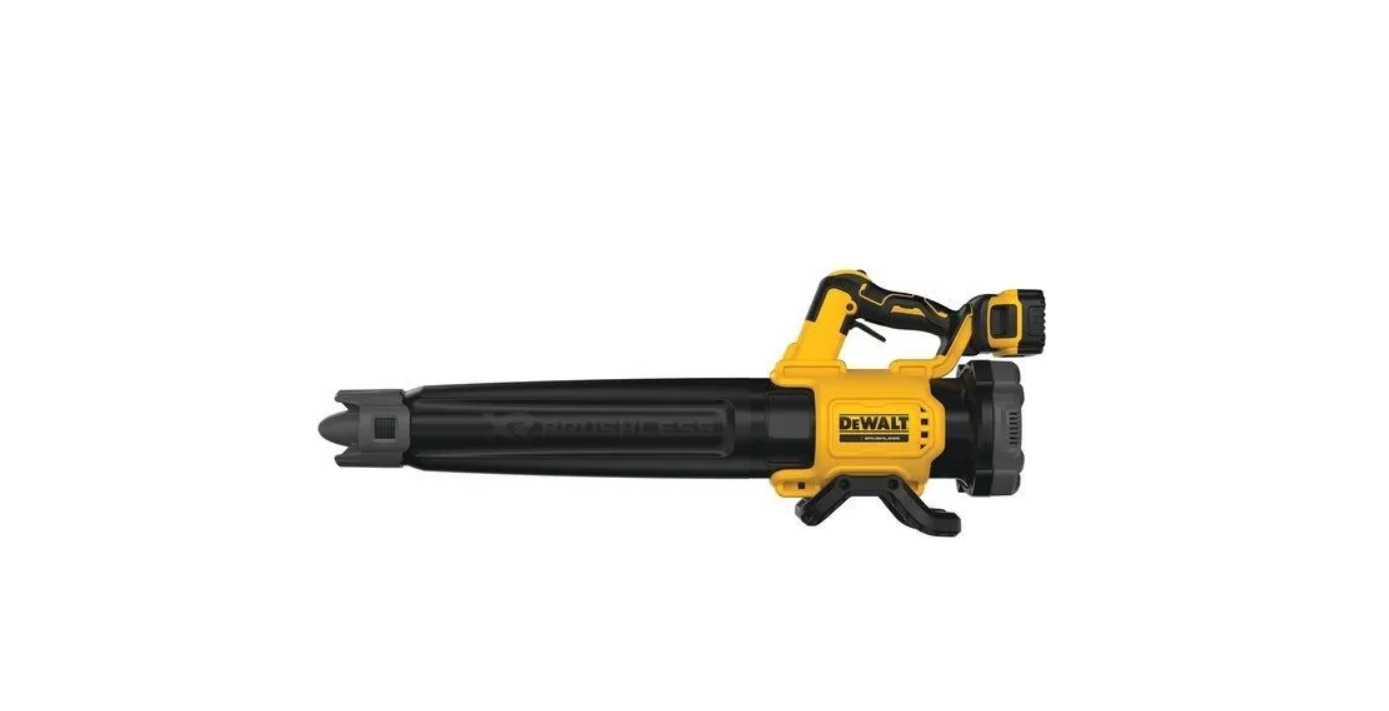 Воздуходувка DeWalt DCMBL562P1