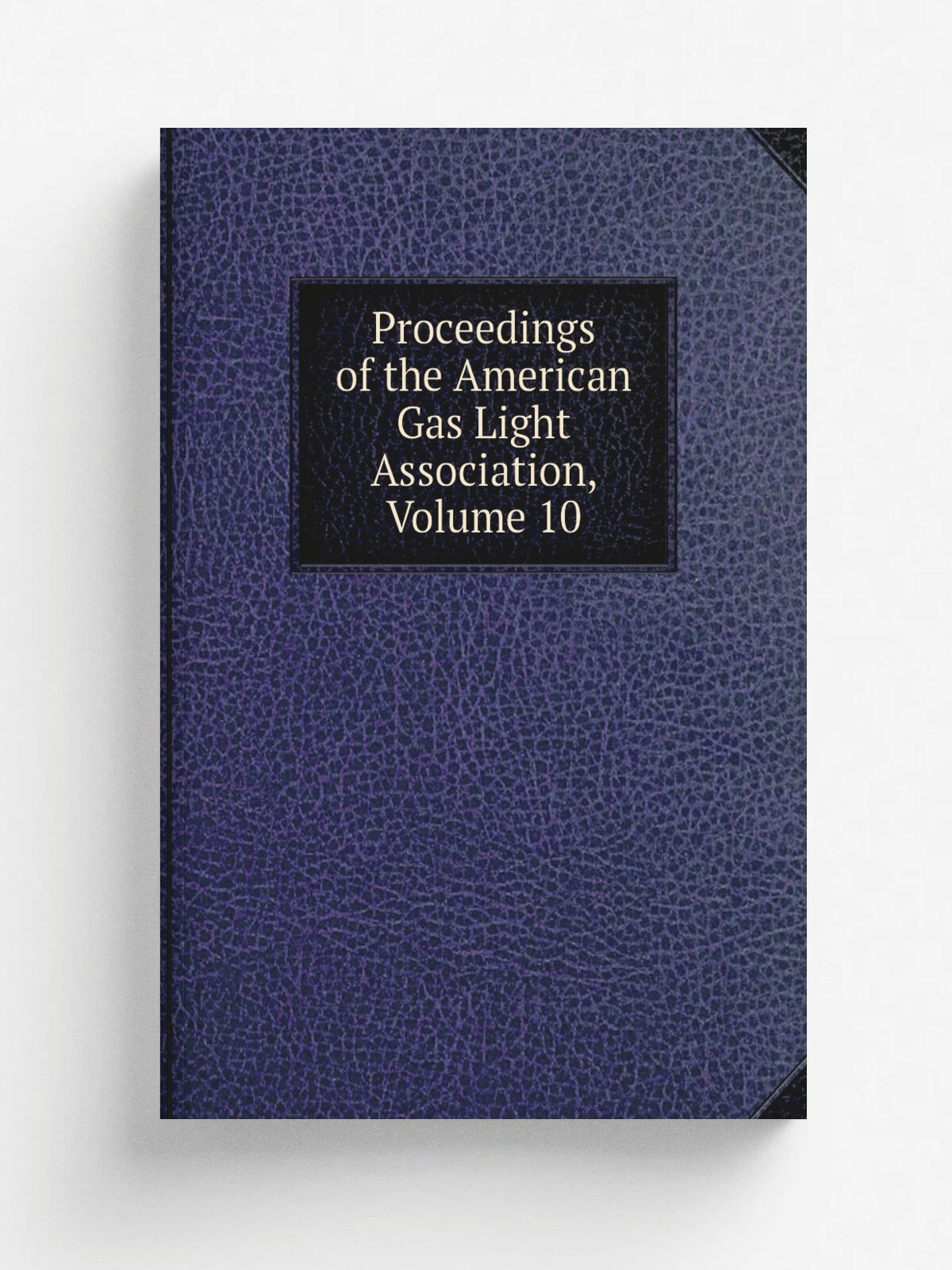 Proceedings of the American Gas Light Association, Volume 10