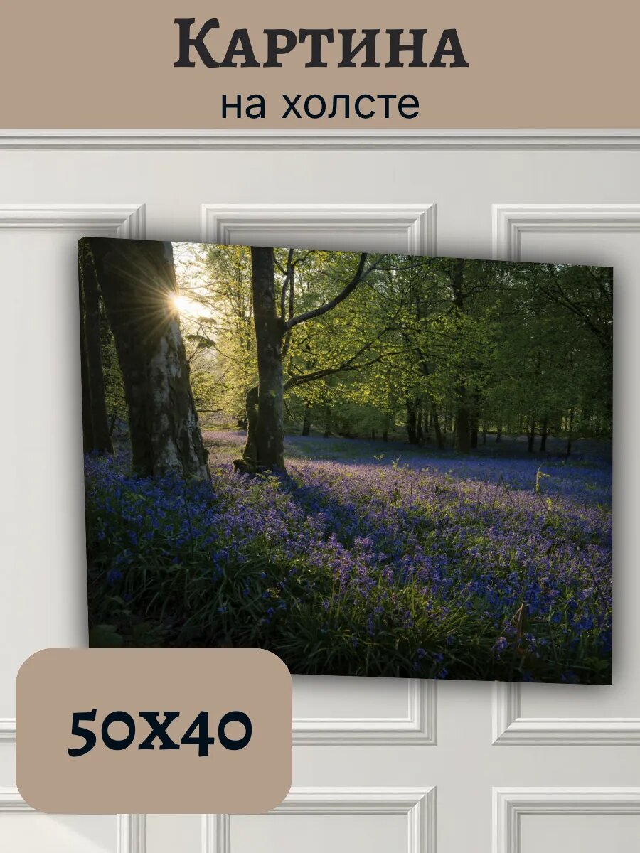 Картина Финляндия Finland 40x50 весенний лесной пейзаж