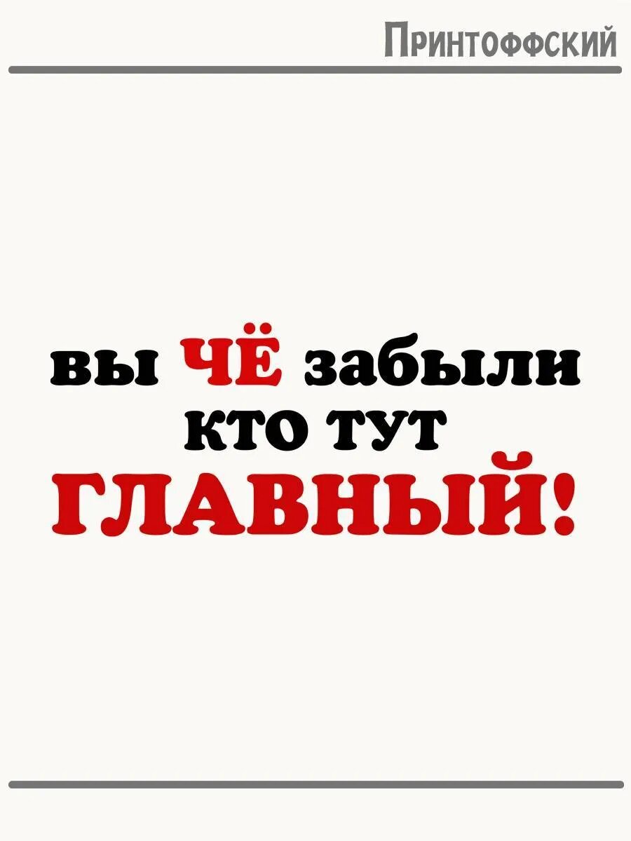 Термонаклейка для одежды и аксессуаров DTF-печать Главный