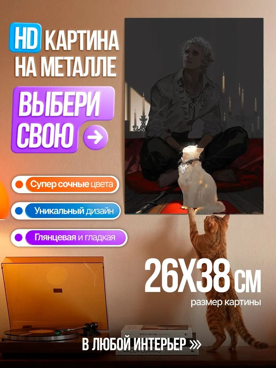 Картина на HD металле Парень с белым котом