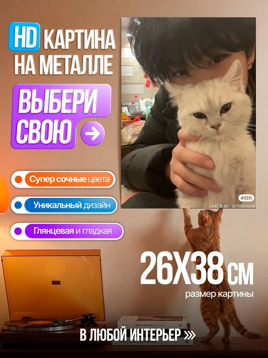 Картина на HD металле Парень с котом