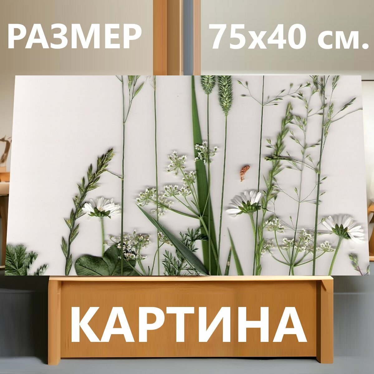 Картина на холсте "Растения, трава, прессованные растения" на подрамнике 75х40 см. для интерьера