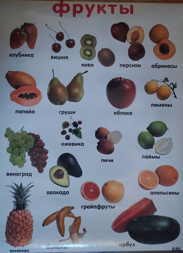 Плакат двухсторонний "Фрукты / Овощи" (48х68см, лам.)