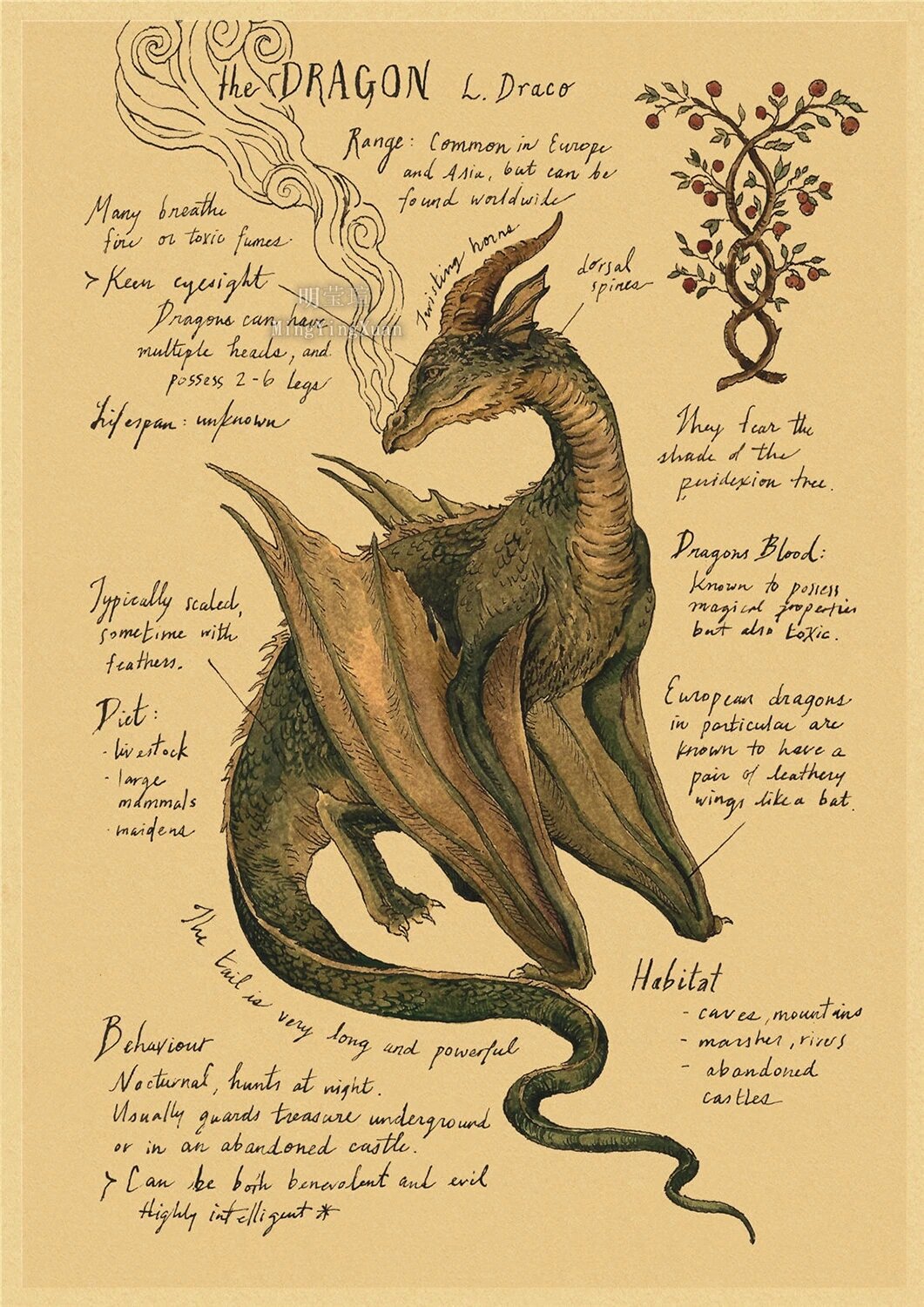 Плакат "Дракон L. Draco" 30x20см, Цвет: 6