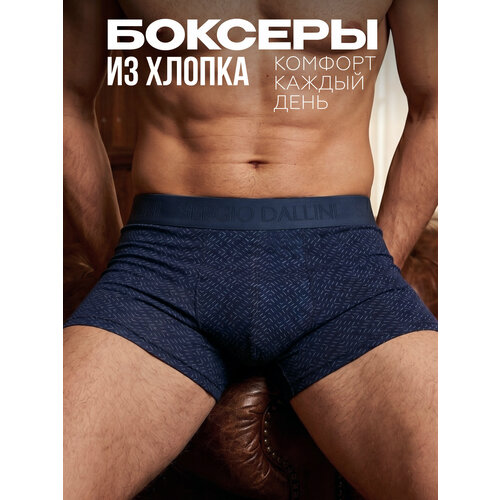 фото Трусы sergio dallini базовая коллекция, размер xl, темно-синий