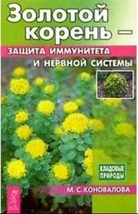 Золотой корень - защита иммунитета и нервной системы