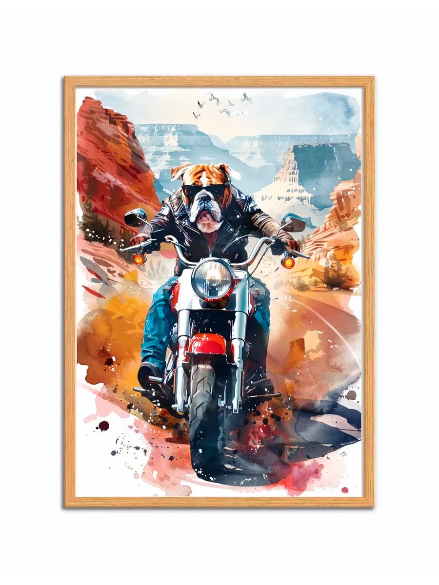 Бульдог-пес-байкер 2, Плакат 30x42см