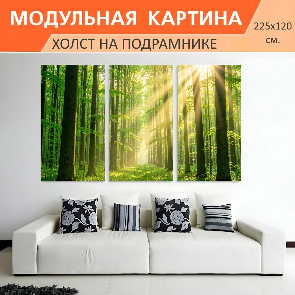 Модульная картина на холсте "Солнечный лес с высокими деревьями. Зелёная лесная чаща с высокими стволами, мягкими лучами солнца и." триптих на подрамнике 225х120 см. для интерьера