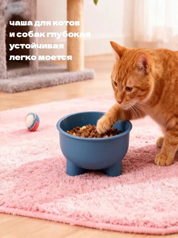 Чаша для котов и собак глубокая устойчивая легко моется