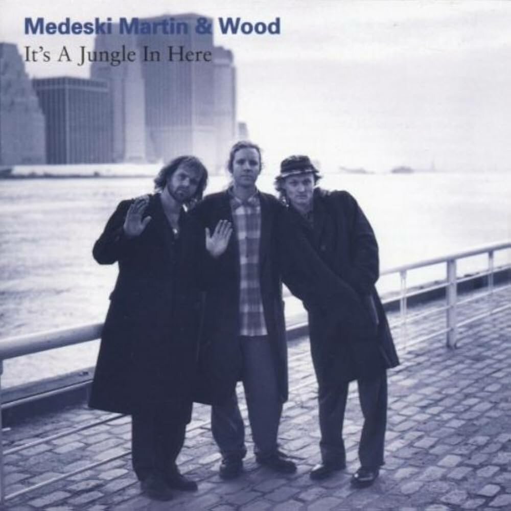 Medeski Martin & Wood - It's A Jungle In Here - USA - новая виниловая пластинка