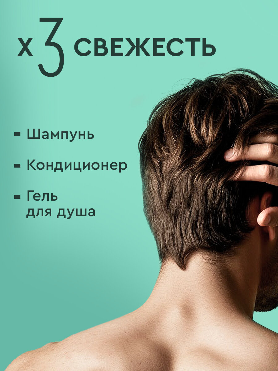 Чистая Линия Шампунь мужской, кондиционер и гель для душа 3в1 Taiga Энергия + Чистота Можжевельник и шалфей, 400 мл — фото 1